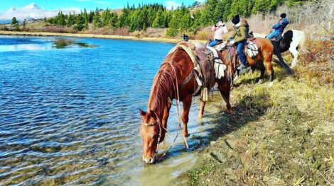 Spring &#8211; Horseback, Bear Creek Guest Ranch