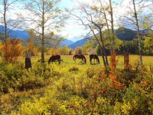 Fall &#8211; Horseback, Bear Creek Guest Ranch
